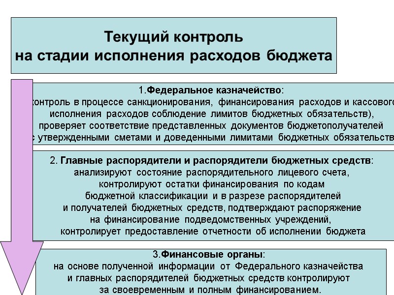 Текущий контроль на стадии исполнения расходов бюджета 1.Федеральное казначейство:  контроль в процессе санкционирования,